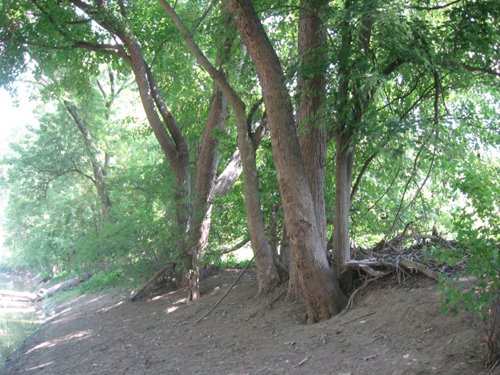 Property photo 2 - 27 Acres offered in 2 Tracts or Combination, Former U.A.W. Hall